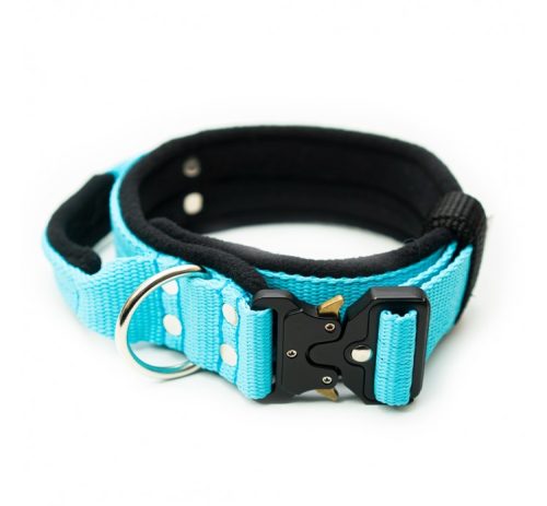 el-perro-extreme-nyakorvek