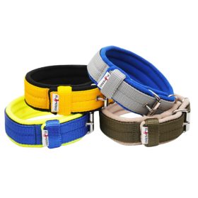 El Perro erős, bélelt kennel nyakörv, 4 cm