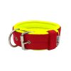 El Perro erős, bélelt kennel nyakörv, 4 cm