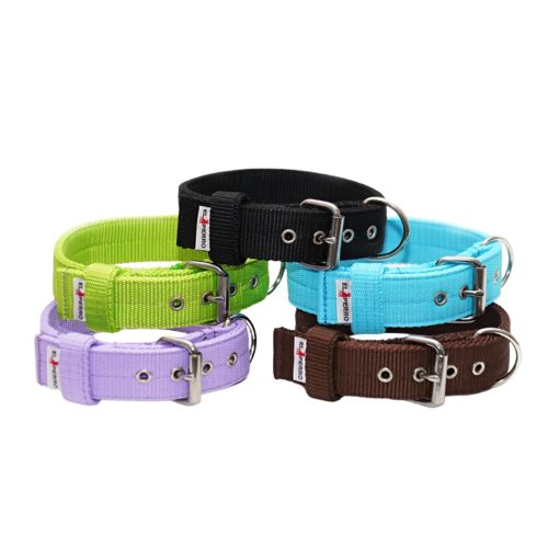 El Perro Triple Kennel erős nyakörv kutyáknak, 4 cm