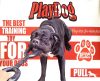playdog-kutya-logatas