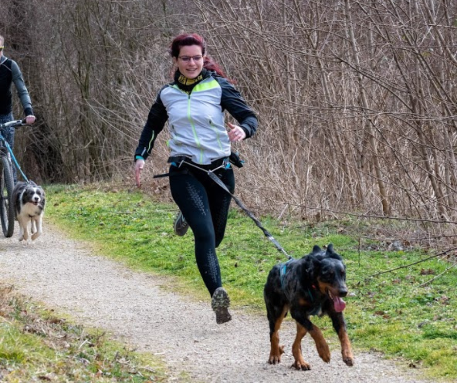 A kutyás futás – segítség az induláshoz