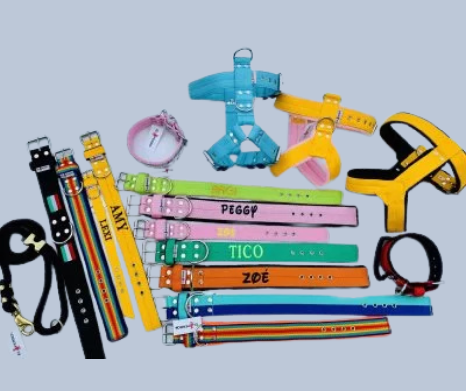 A kutyafelszerelések fontossága