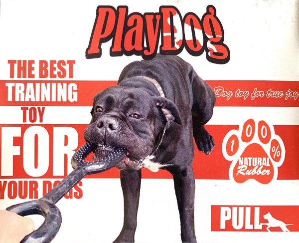 Playdog lógató gumi kutyáknak